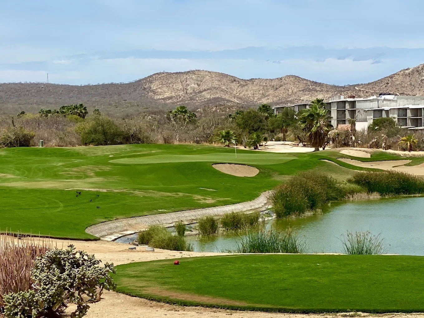 Campo de golf con áreas verdes, arena y agua, rodeado de árboles y montañas de fondo.