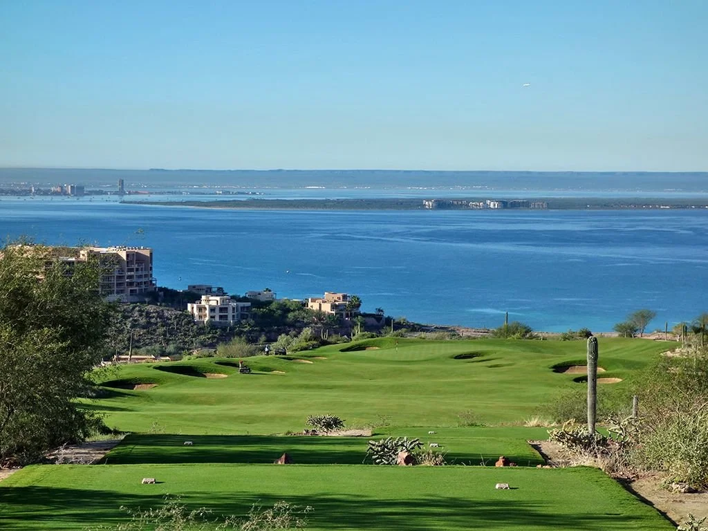 Un campo de golf con césped bien cuidado y un cactus, con una vista panorámica de un lago y edificios en el fondo