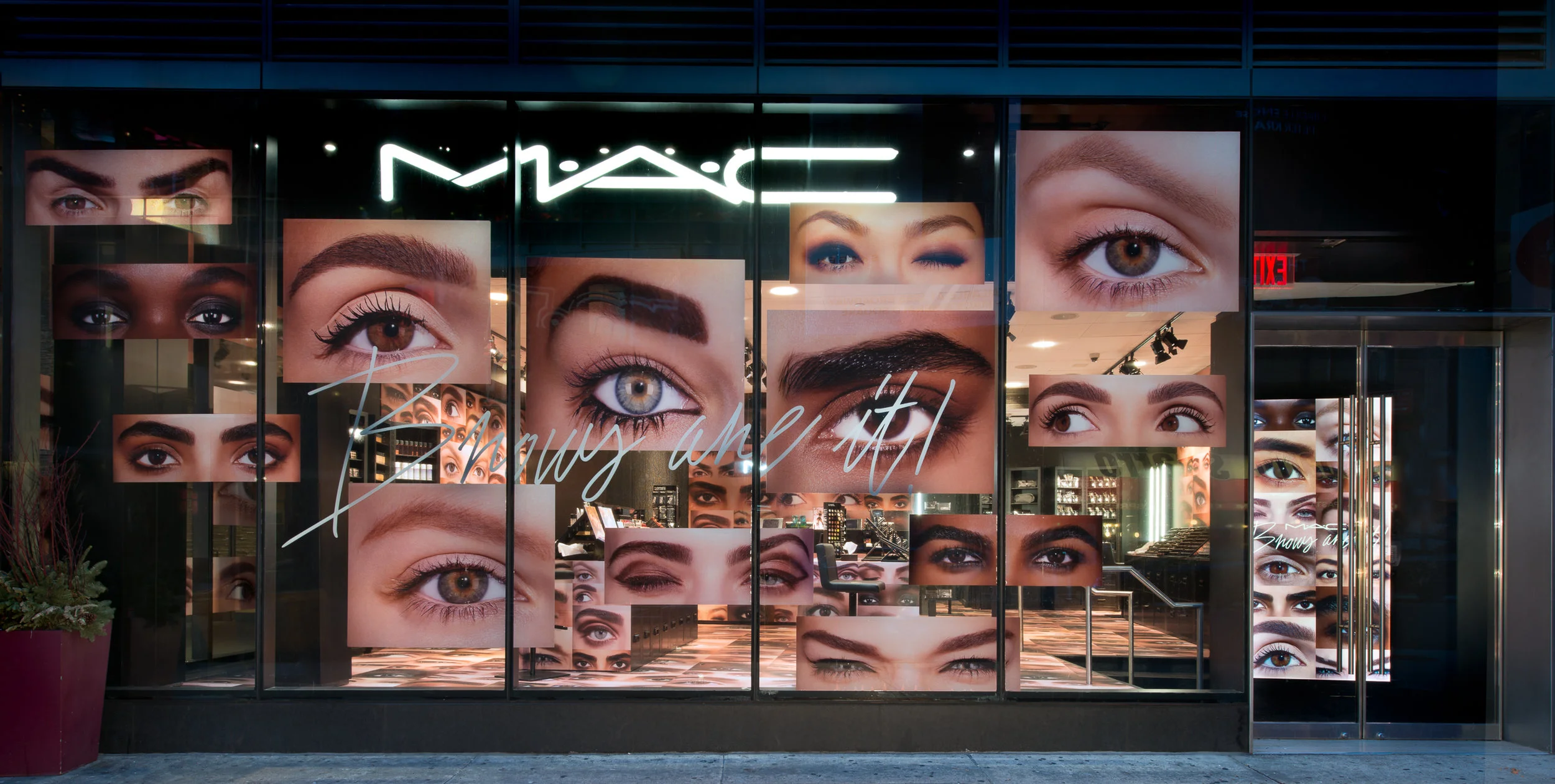 0007_20160306-brows4.jpg