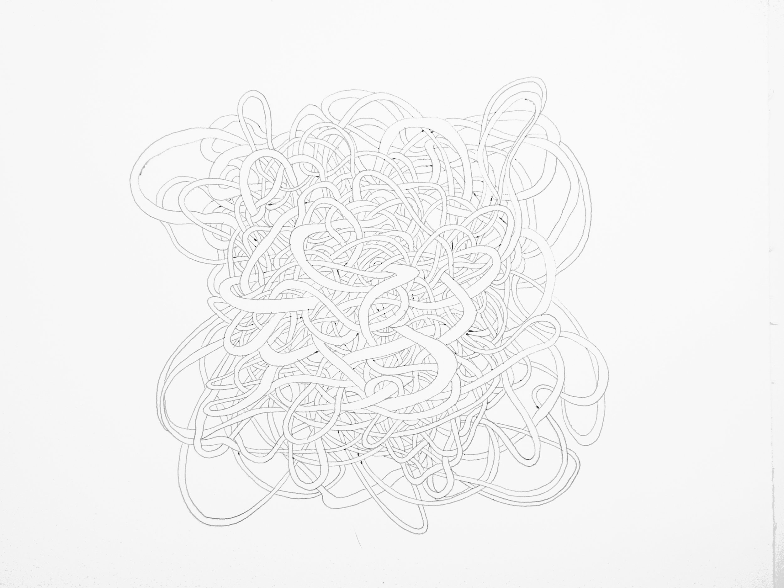 KNOT IN INK.jpg