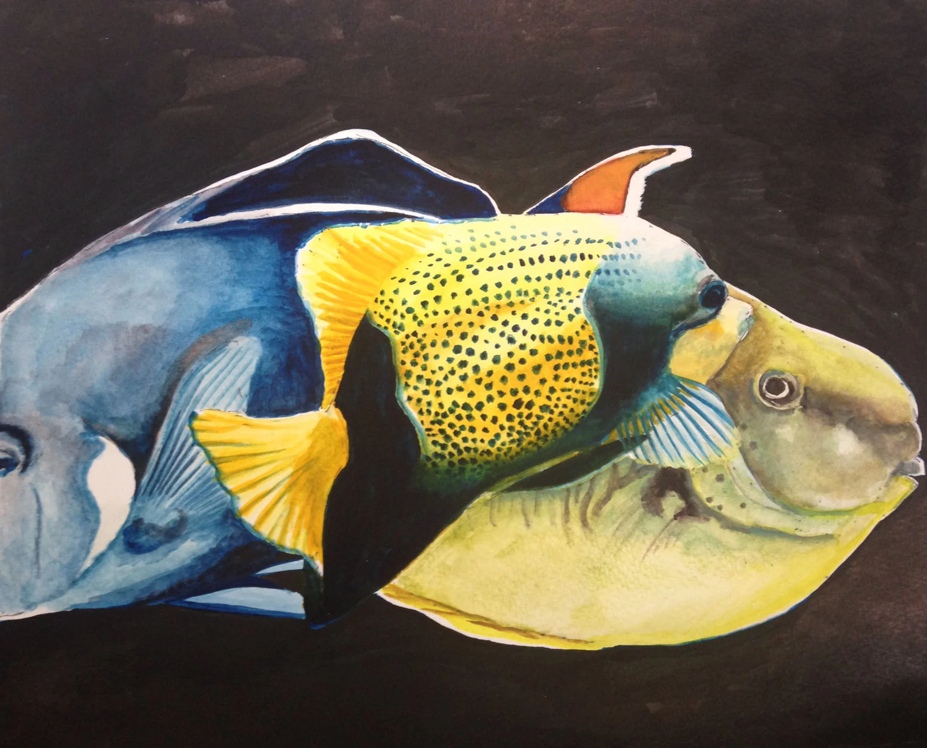 2013-11-23 10.19.12.JPG