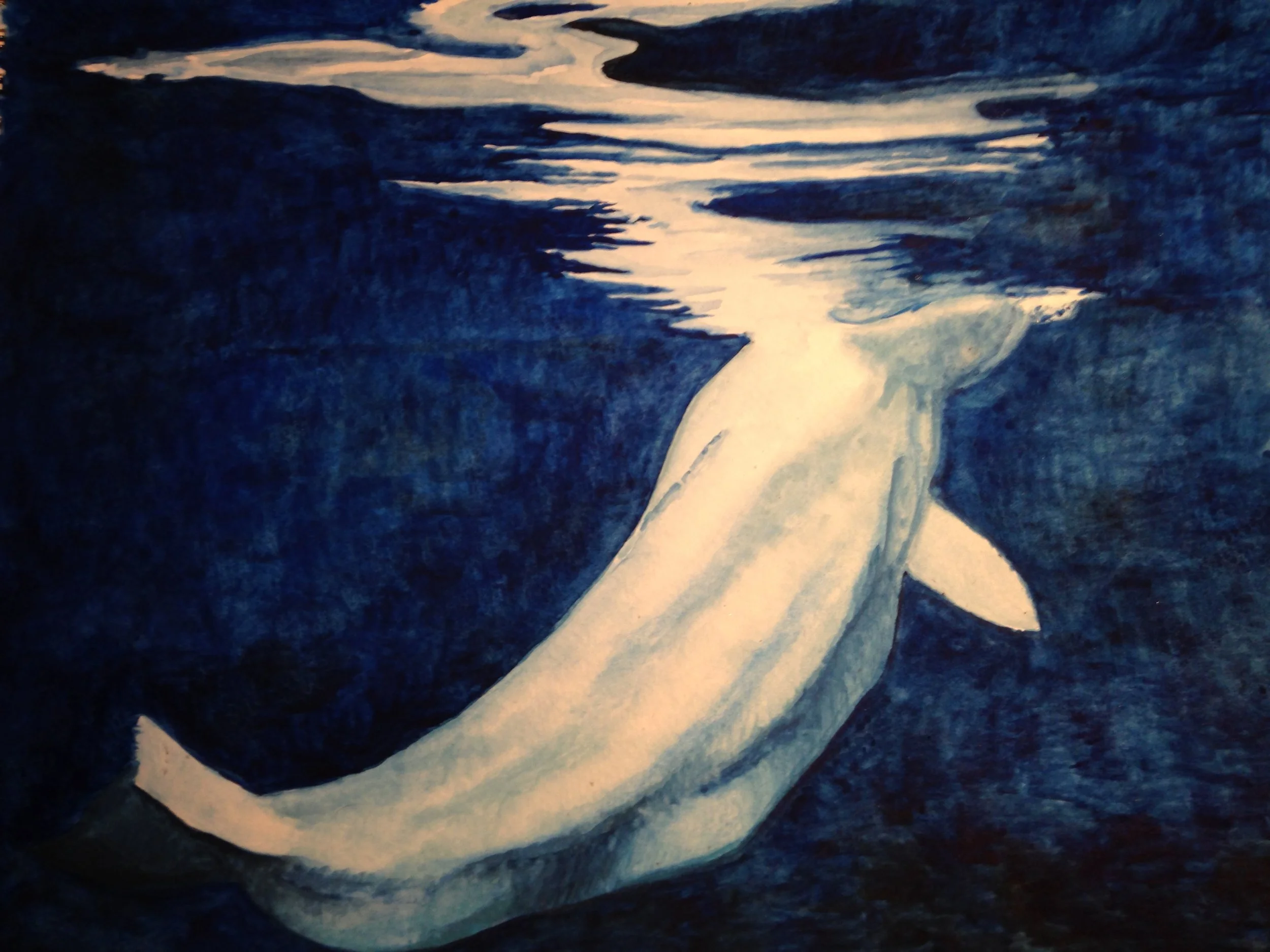 2013-11-24 17.50.49.JPG