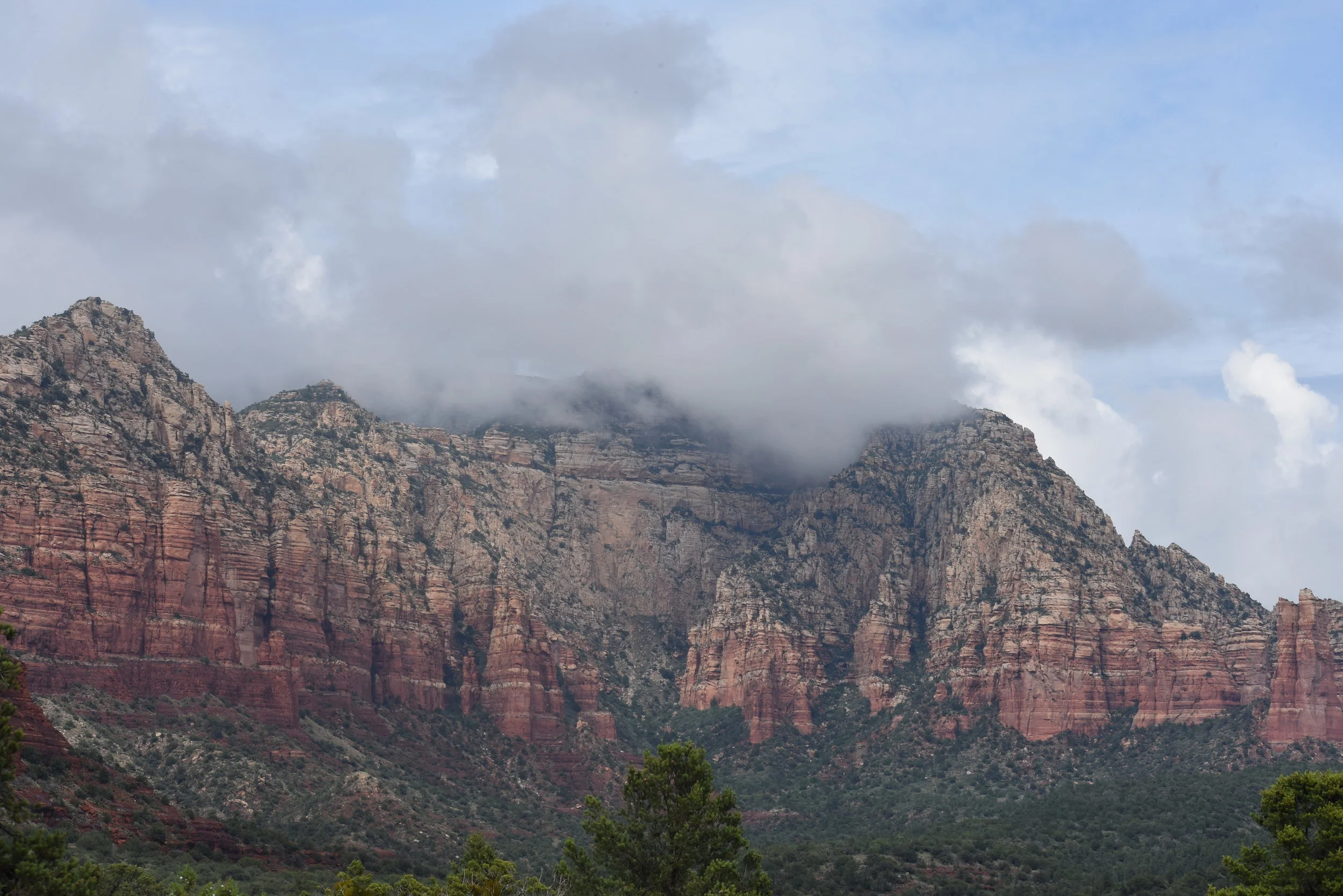DSC_1938.JPG