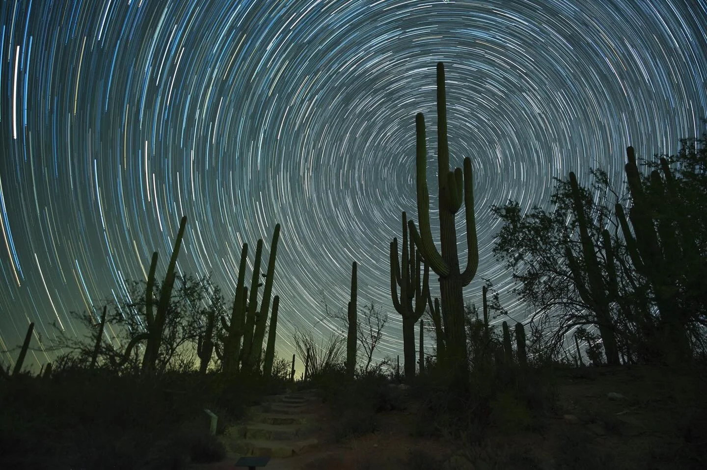 Stairway to the stars. A night of stars, good company, and great teaching by @seanparkerphotography, whom I highly recommend. This was a fantastic workshop! Thank you, Sean! 
Watch my star trail video on the next slide! 

📷 186 Images, 13 seconds, I