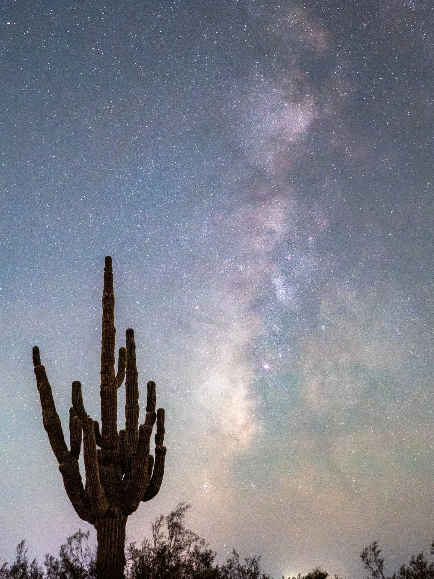 I hope you will stop by my art exhibit at DeGrazia Gallery in the Sun from Sunday, March 22-April 3, 2026. On Sunday, March 22, I will be having an opening reception from 1-4pm and would love to see you there! Or stop in after the opening from 10-4. 