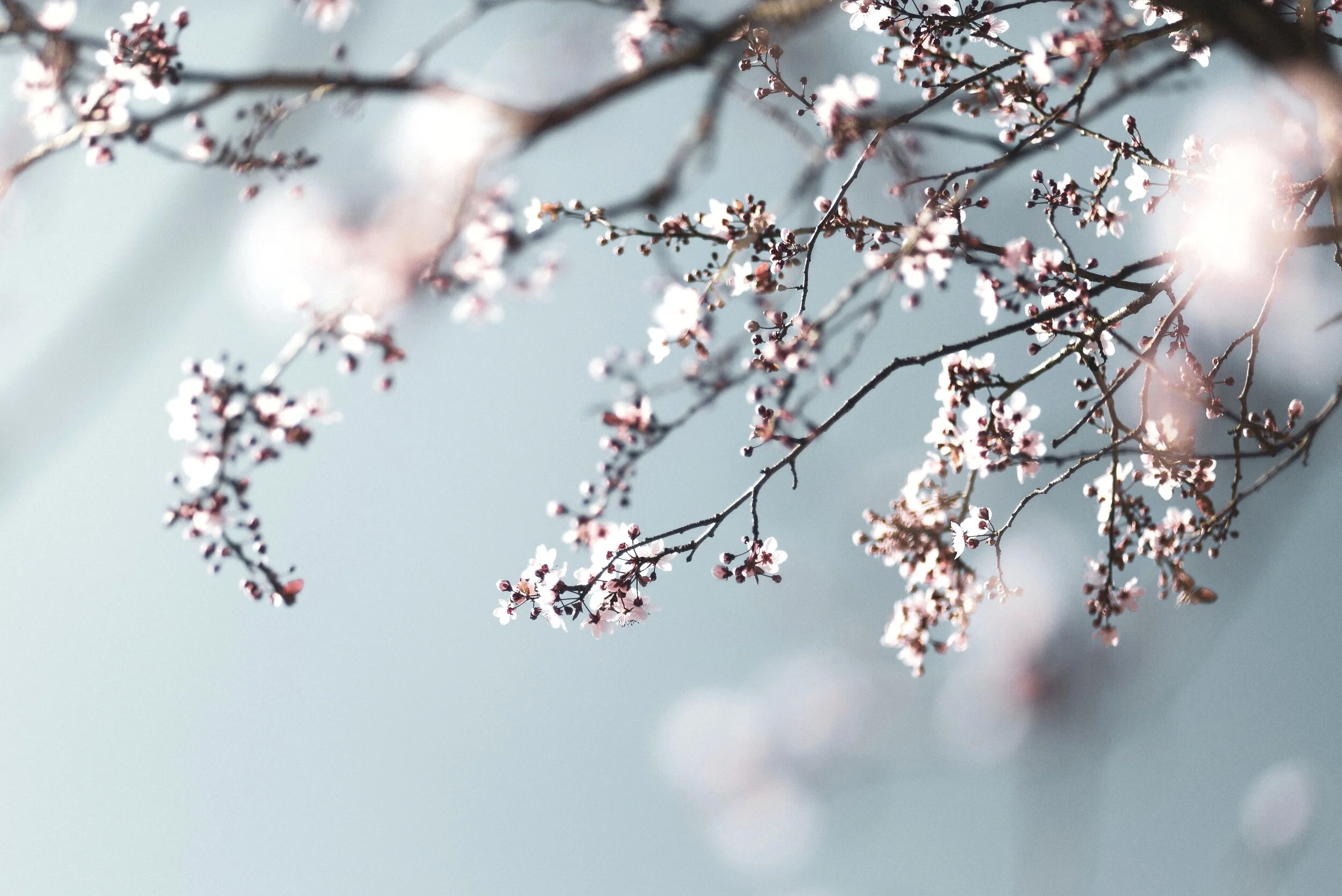 Acceptance as a gift