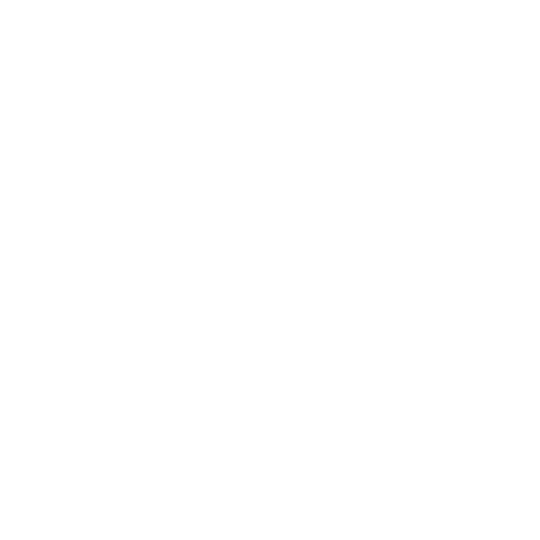 Primary Logo White 600.png