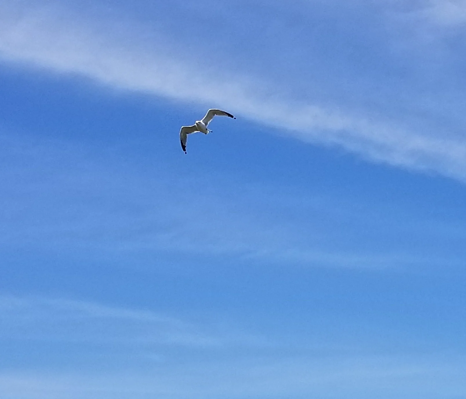 20180830_150338.jpg