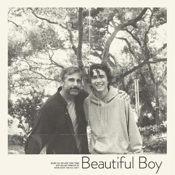 BeautifulBoy_Posternew1x1.jpg