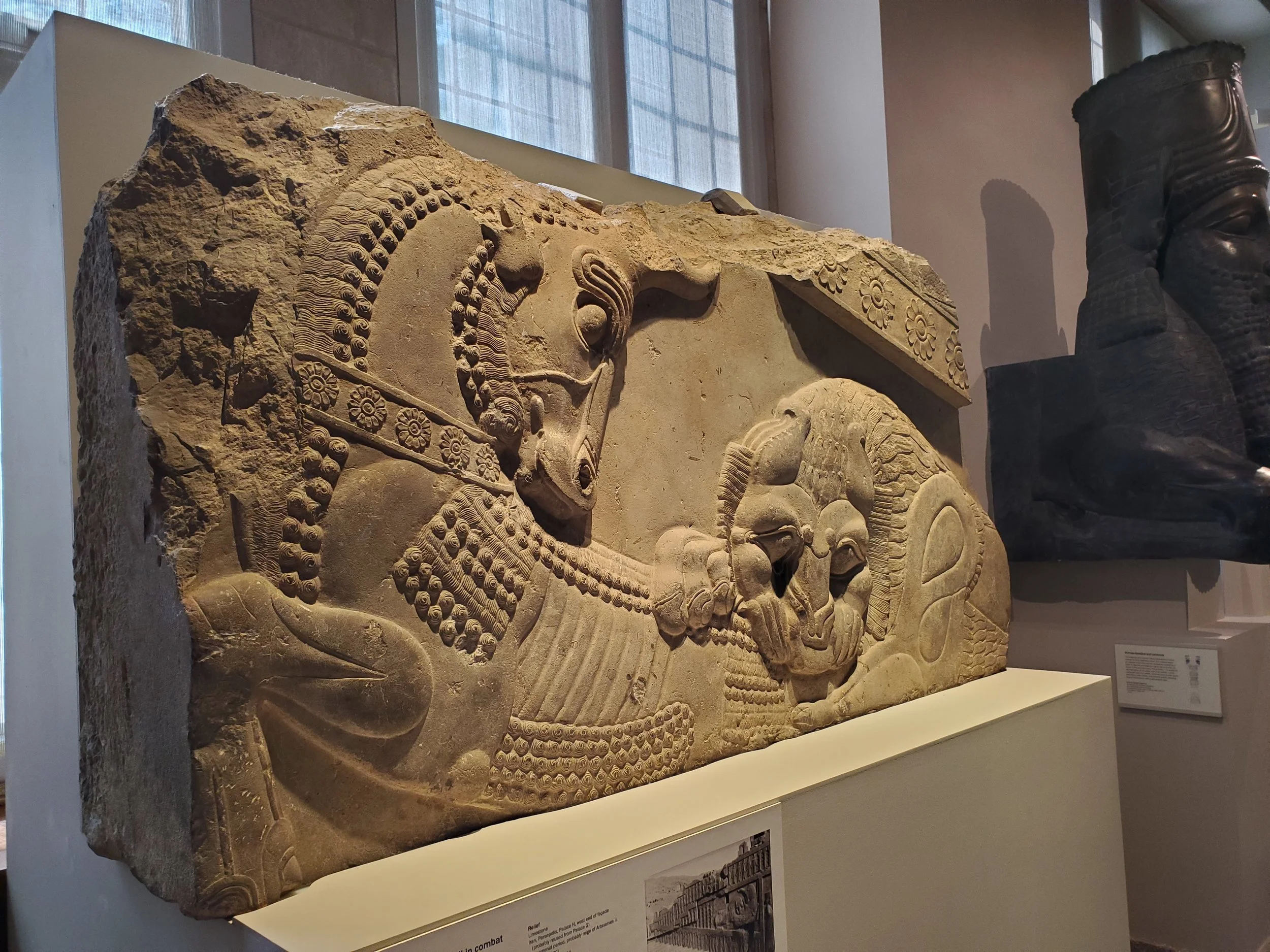 Oriental Institute Celebrates 100 Years