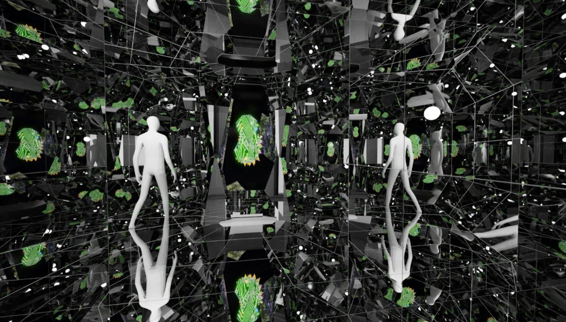 New Installation Encourages Visitors to Take a Look at Themselves