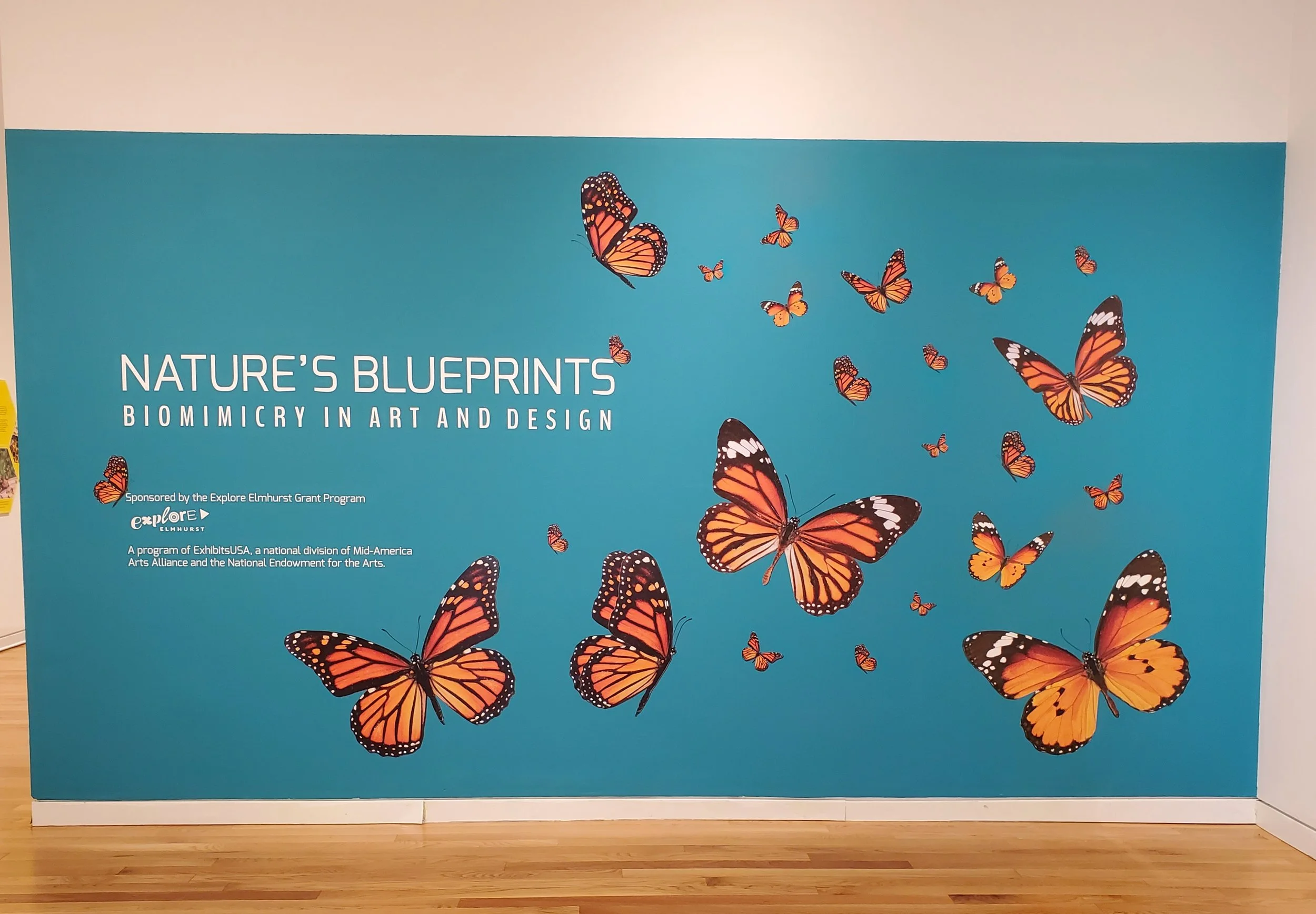 Highlighting Nature's Blueprints