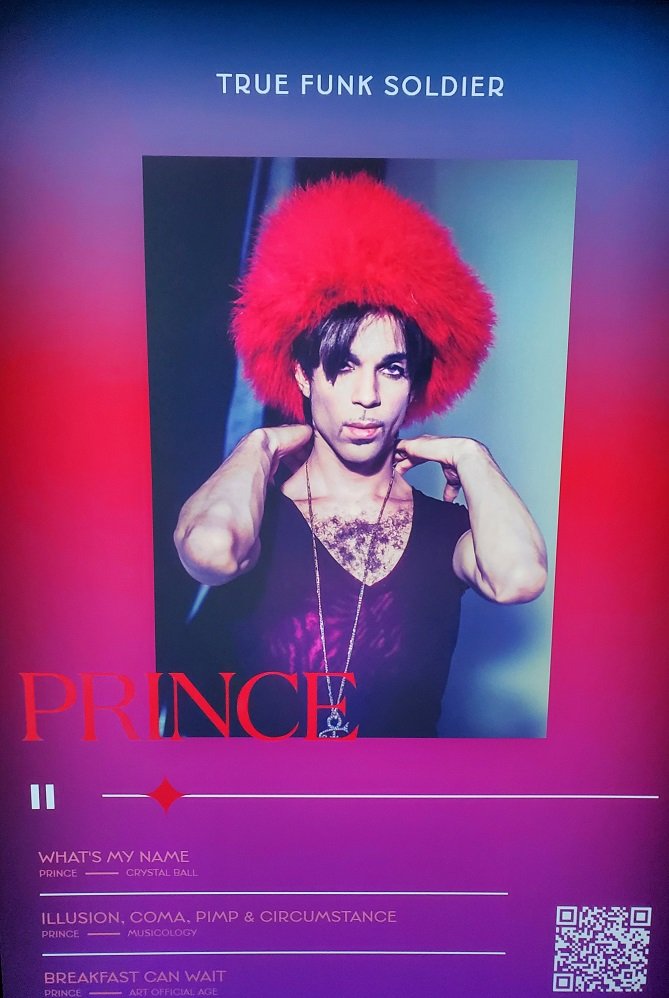 Prince-07.jpg