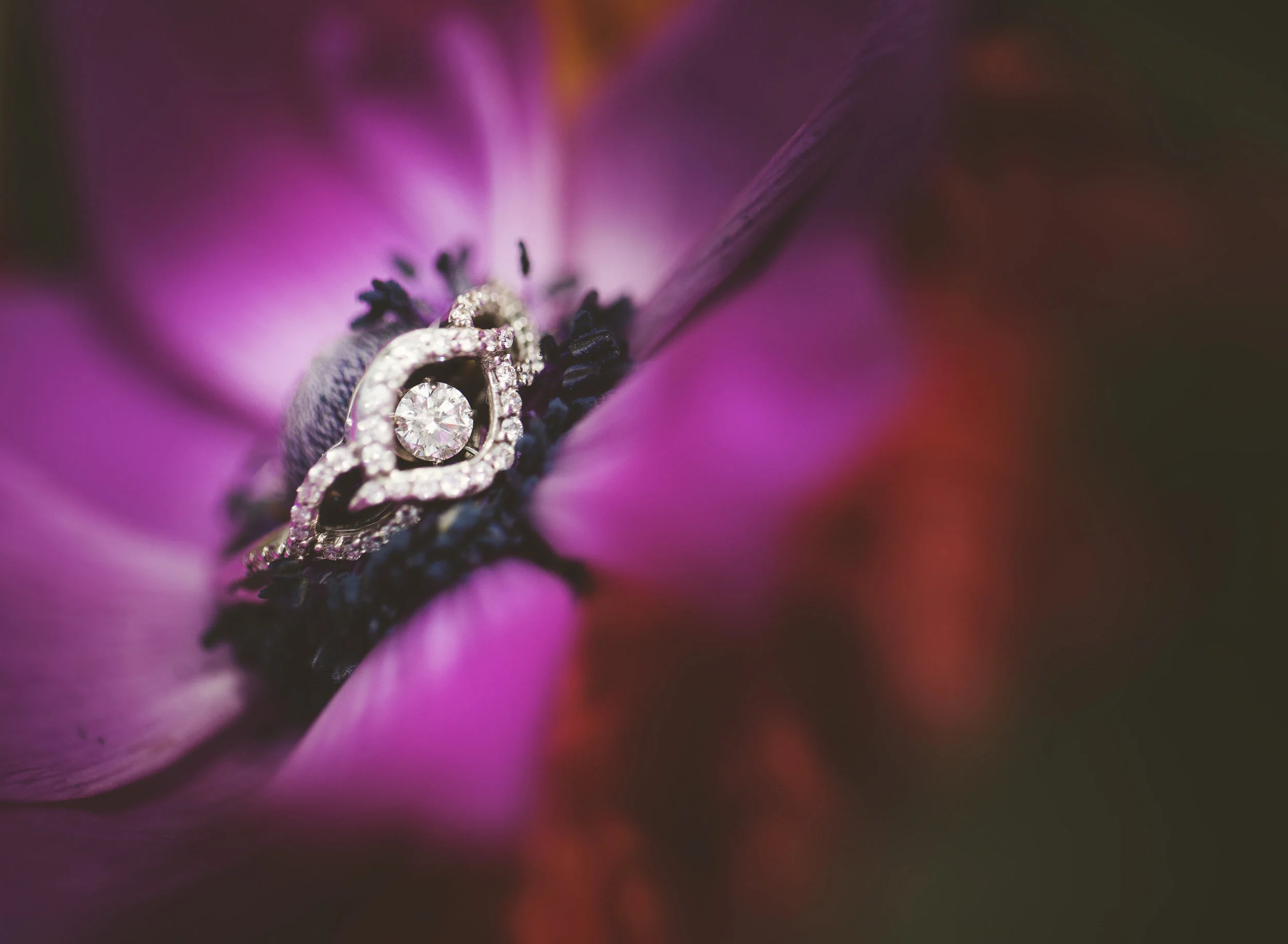Shane + Krystal-0011.jpg