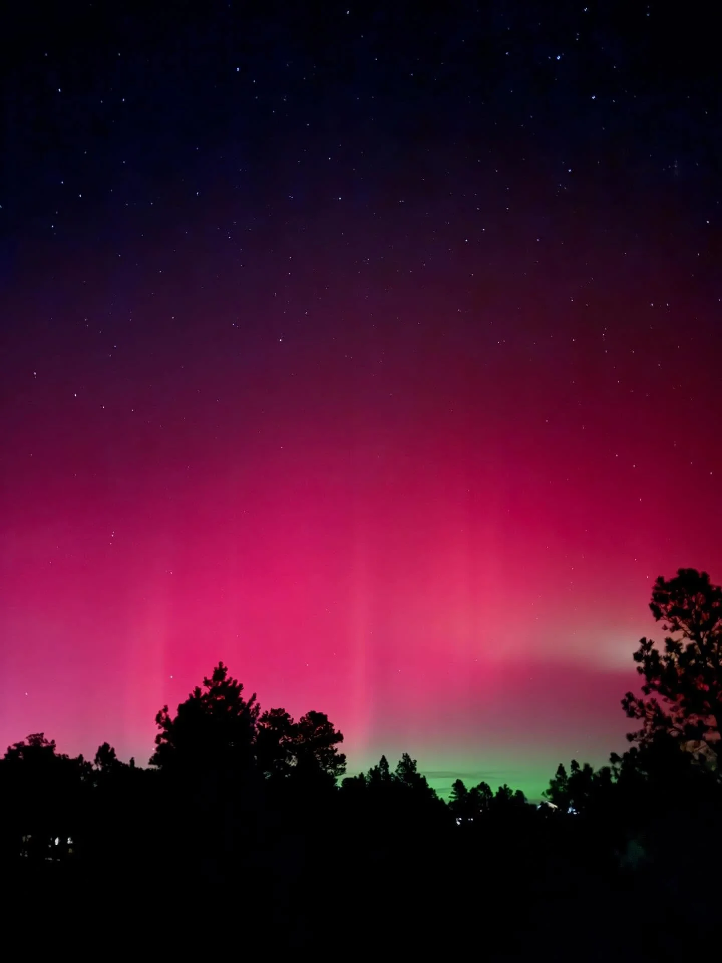 The Aurora Borealis is showing off at the Homestead tonight! 

#nofilter #aurora_borealis #homesteadlife