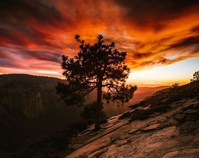 Yosemite fire. #yosemite