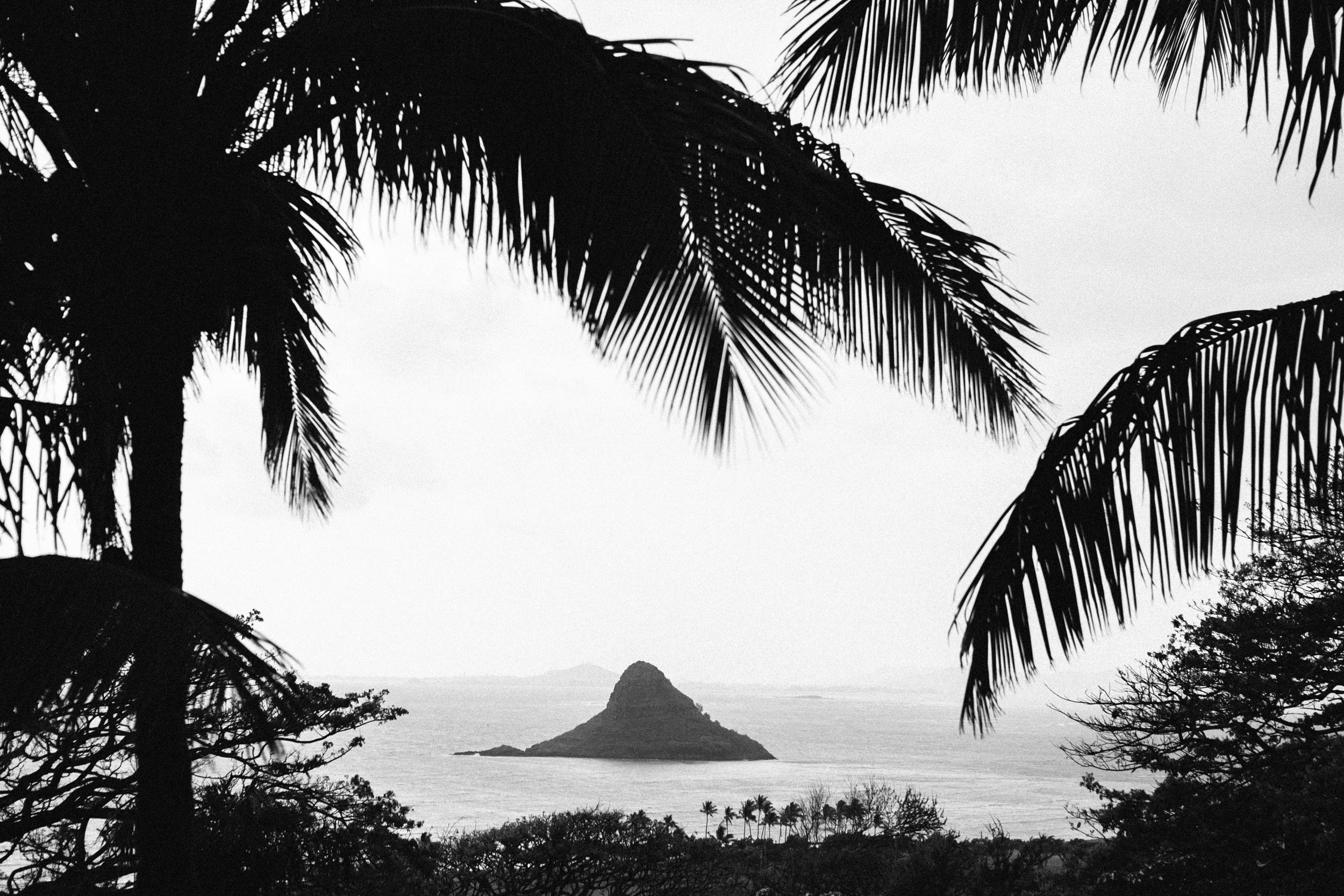 024-MICHELLEMISHINA_OAHU.jpg