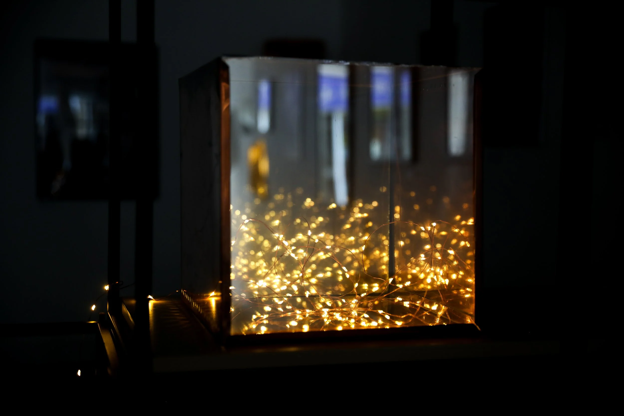 Otzar with string lights_0045.jpg
