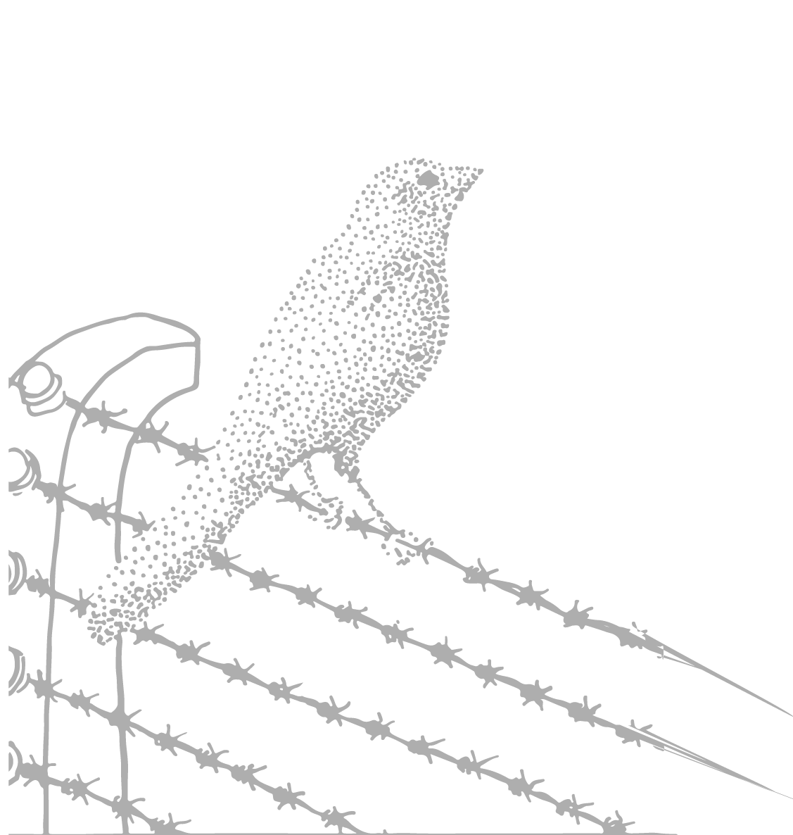 BirdonWireNotextMod-01.png