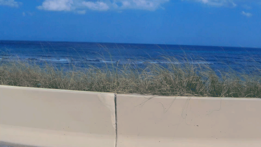 Untitled-1.gif
