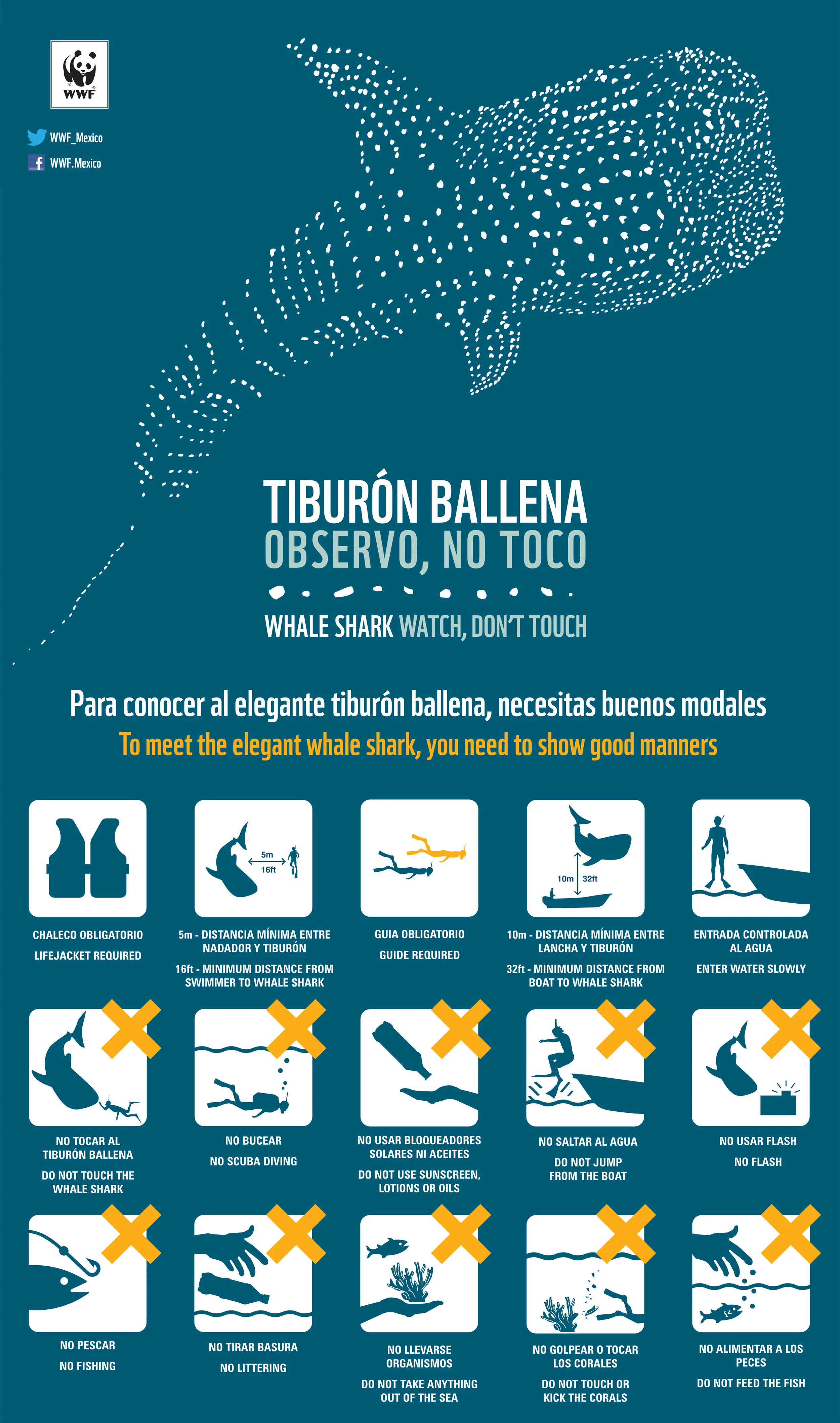 Affiche de sensibilisation pour pratiques responsables de plongée avec les requins-baleines (source WWF)
