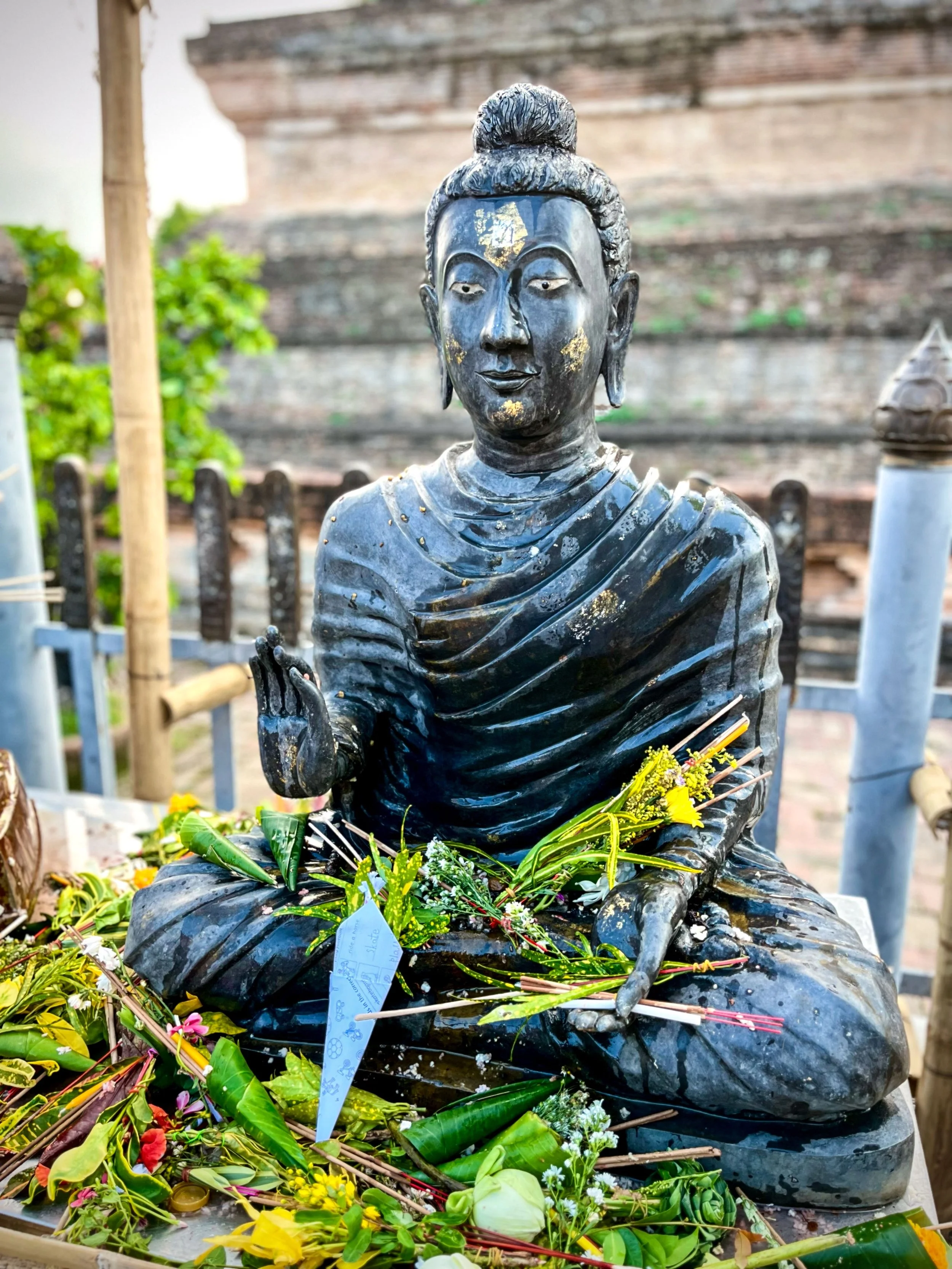 Asie du sud-est 2023 - portrait d'un départ chaotique (Visa Vietnam)