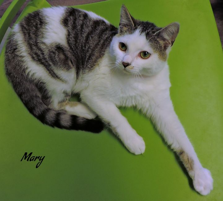 Mary.jpeg