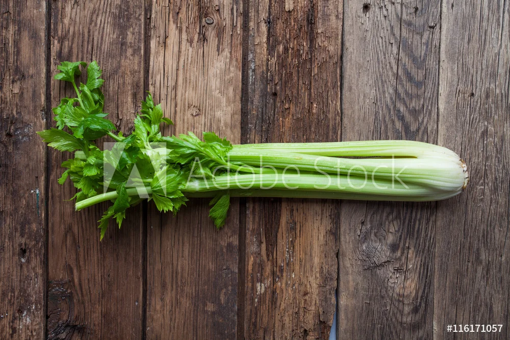 Things to Eat Every Day - Celery