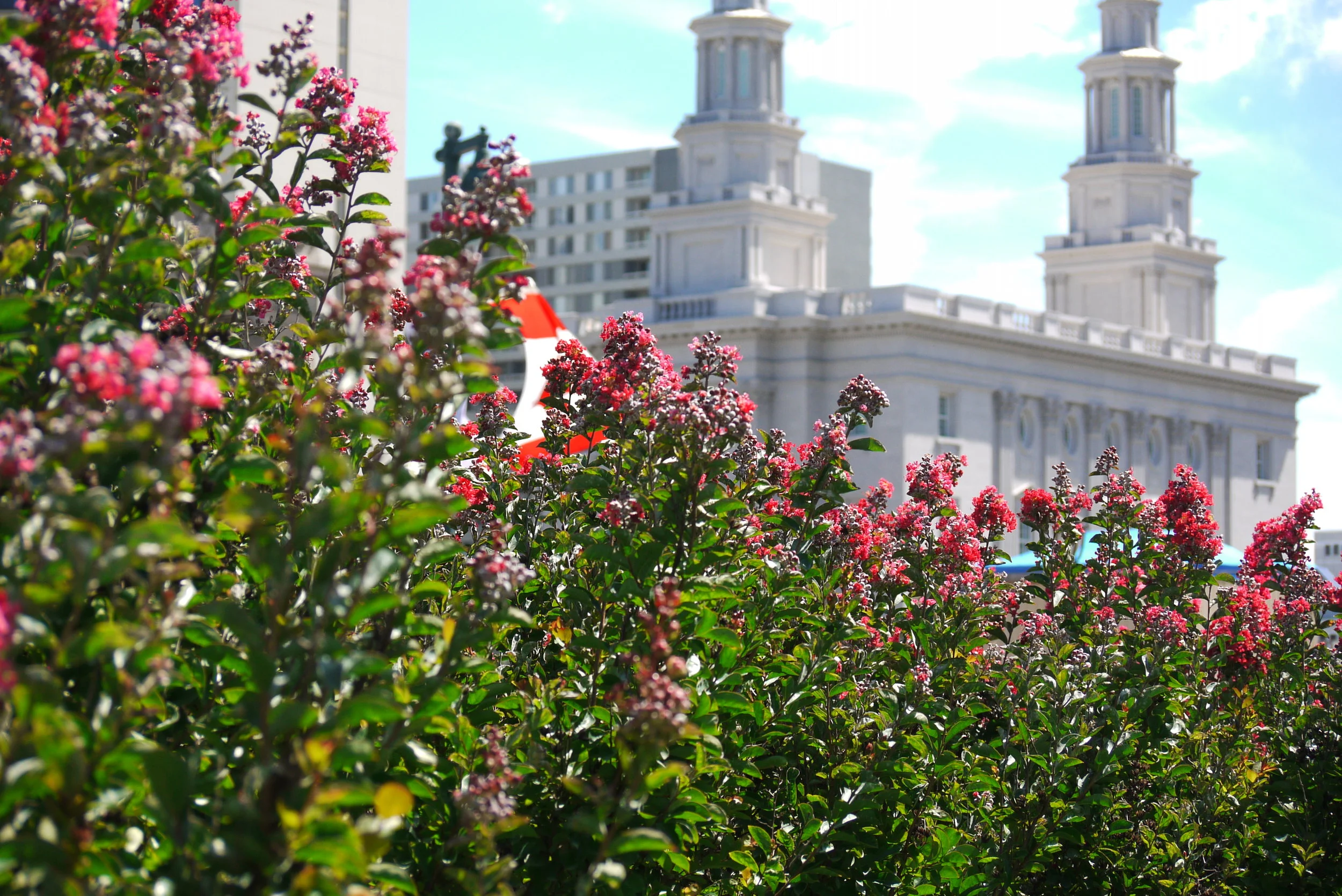 Wall of Flowers