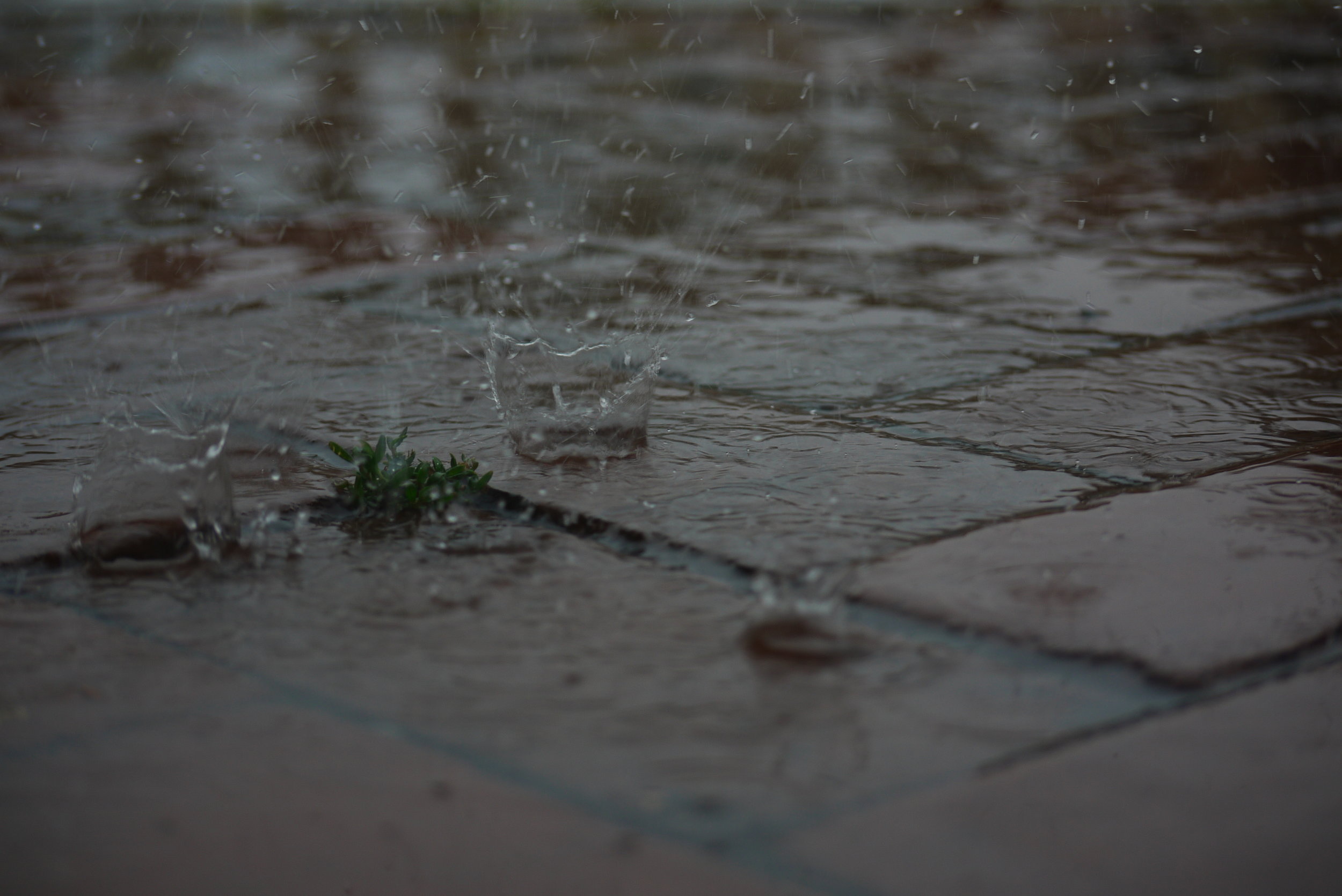 SPLASH