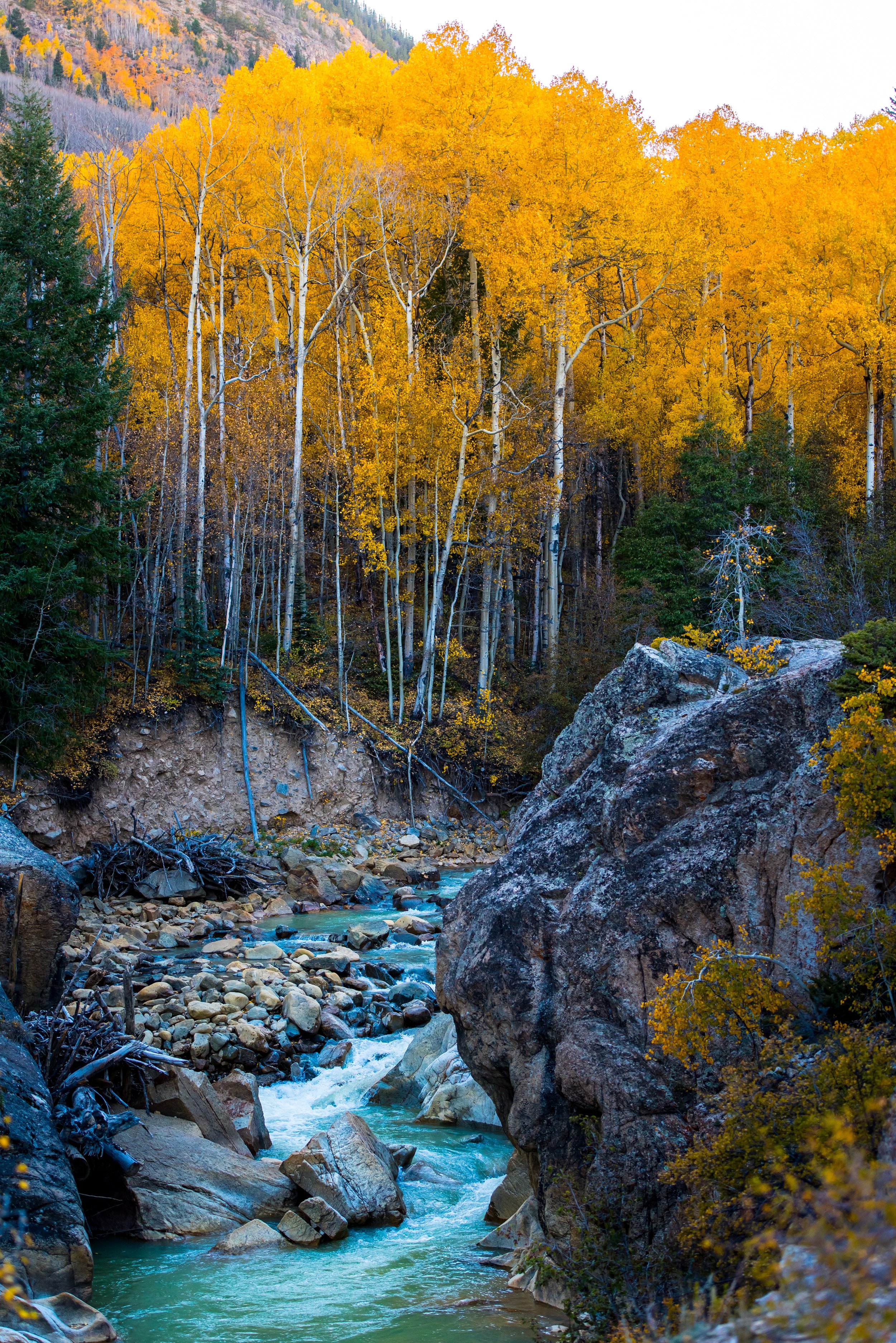 nathan-anderson-194686-unsplash.jpg