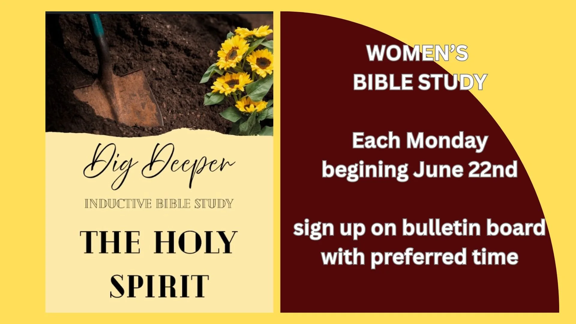 Women's Bible Study
