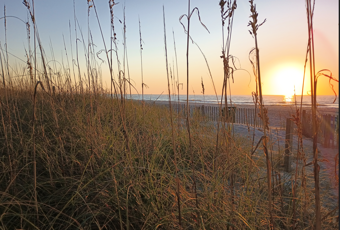 Sunrise_MyrtleBeach2024_Reeds.PNG