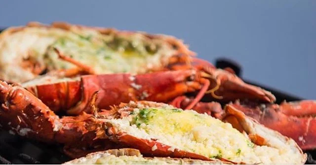 I morgen blir det tradisjonen tro hummer og fiskesuppe p&aring; toppen! Og surprise: det blir KNALLV&AElig;R ☀️ #koiakvitfjell #kvitfjell