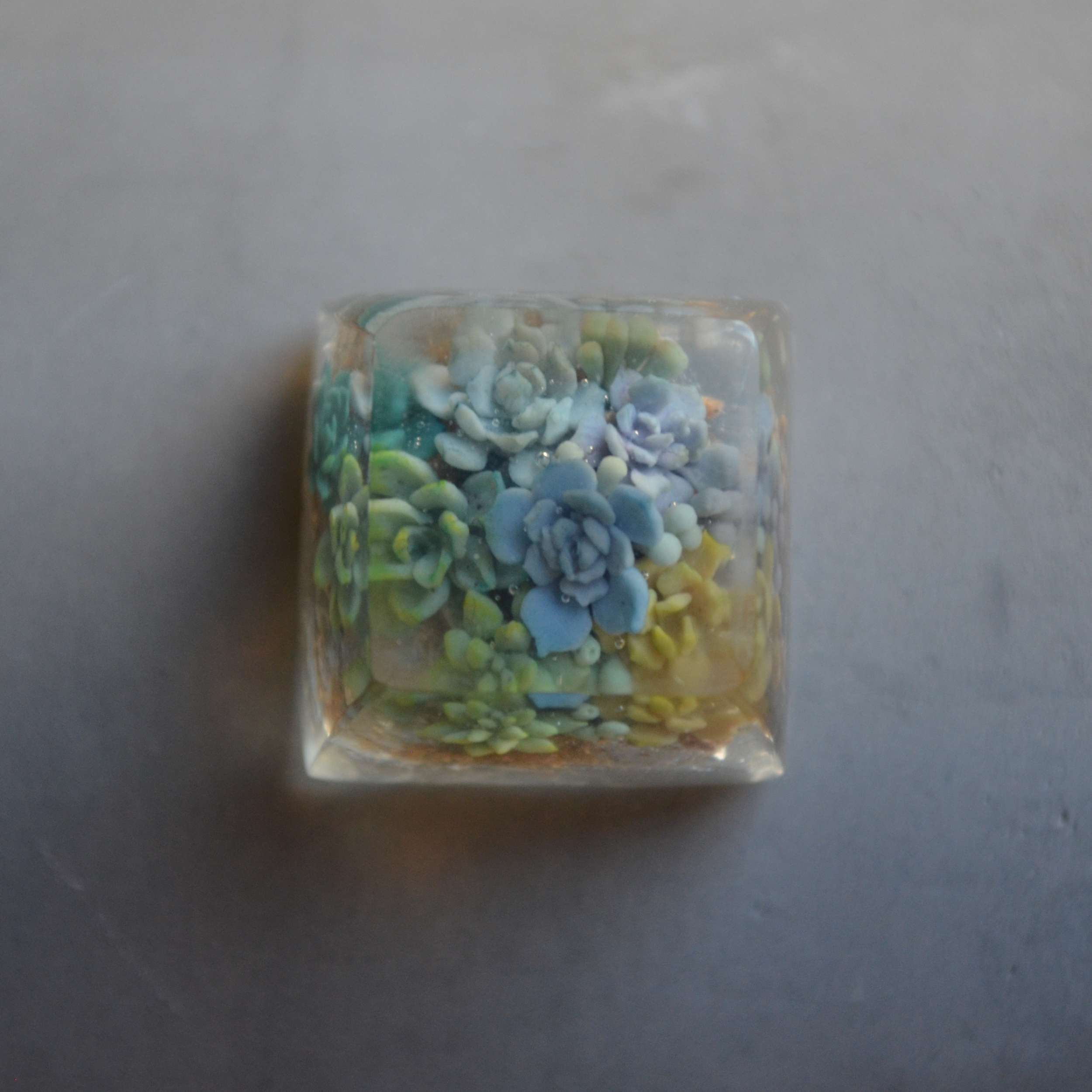 DSC_0015.png