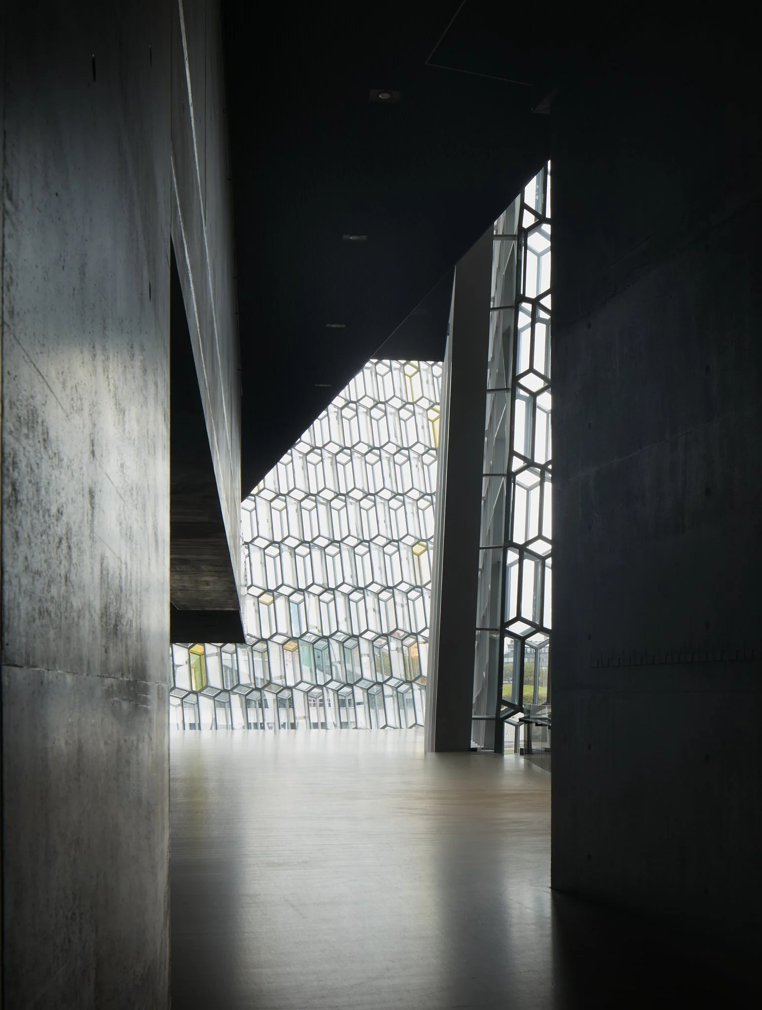 EFuerniss_HARPA_0040 copy.jpg