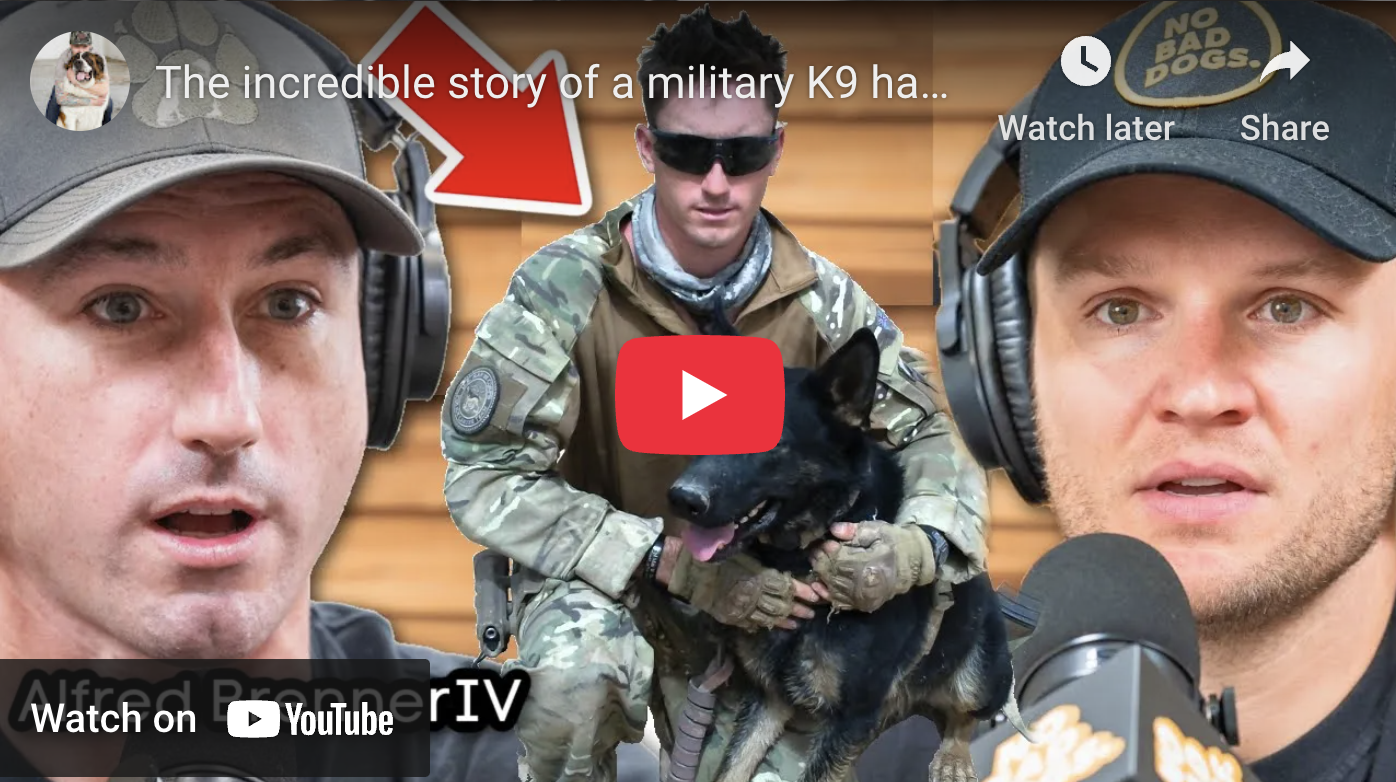 Sgt. Alfred Brenner on No Bad Dogs Podcast talking "Surviving with Grief" with celebrity dog trainer Tom Davis