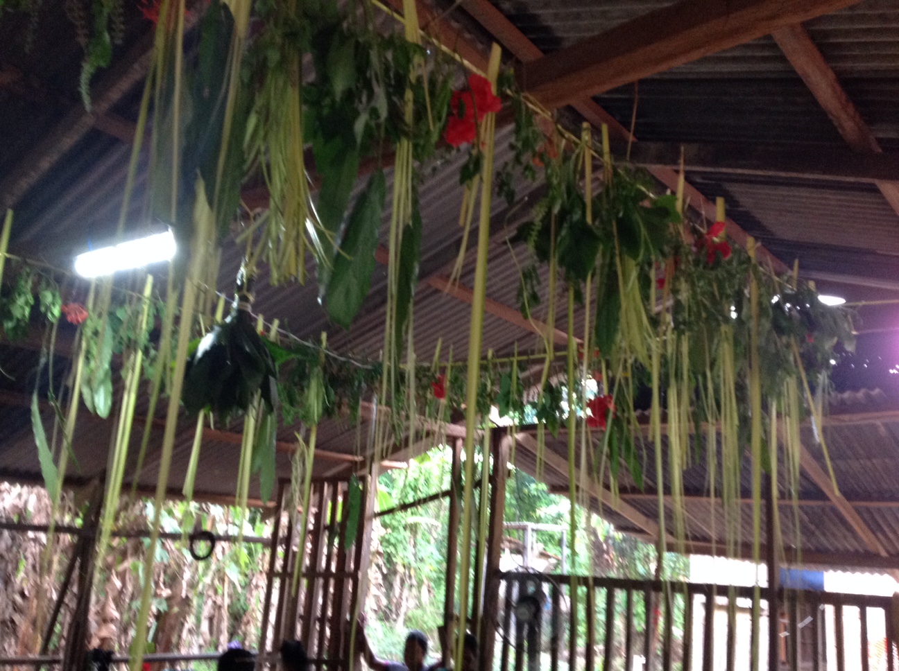 IMG_5195.jpeg