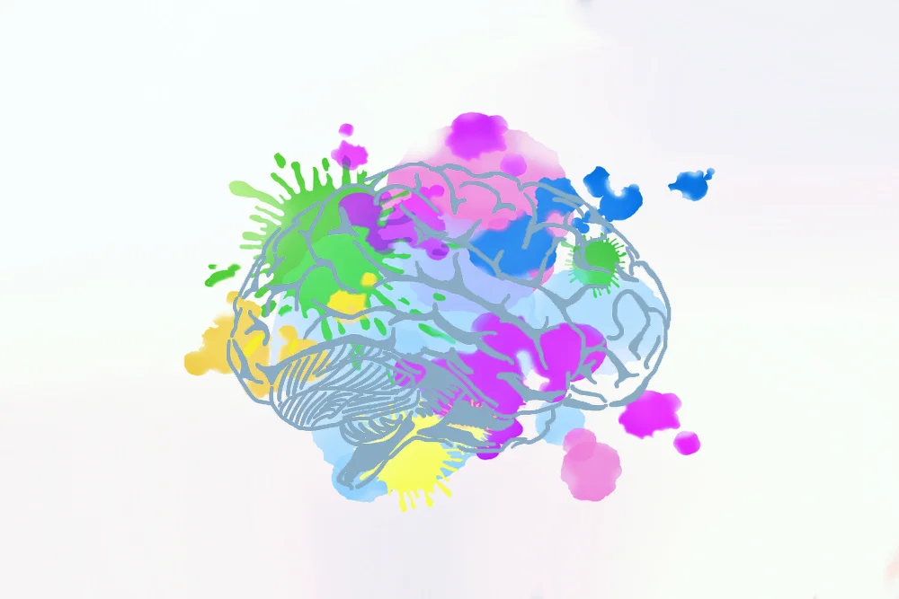 Brain.jpg