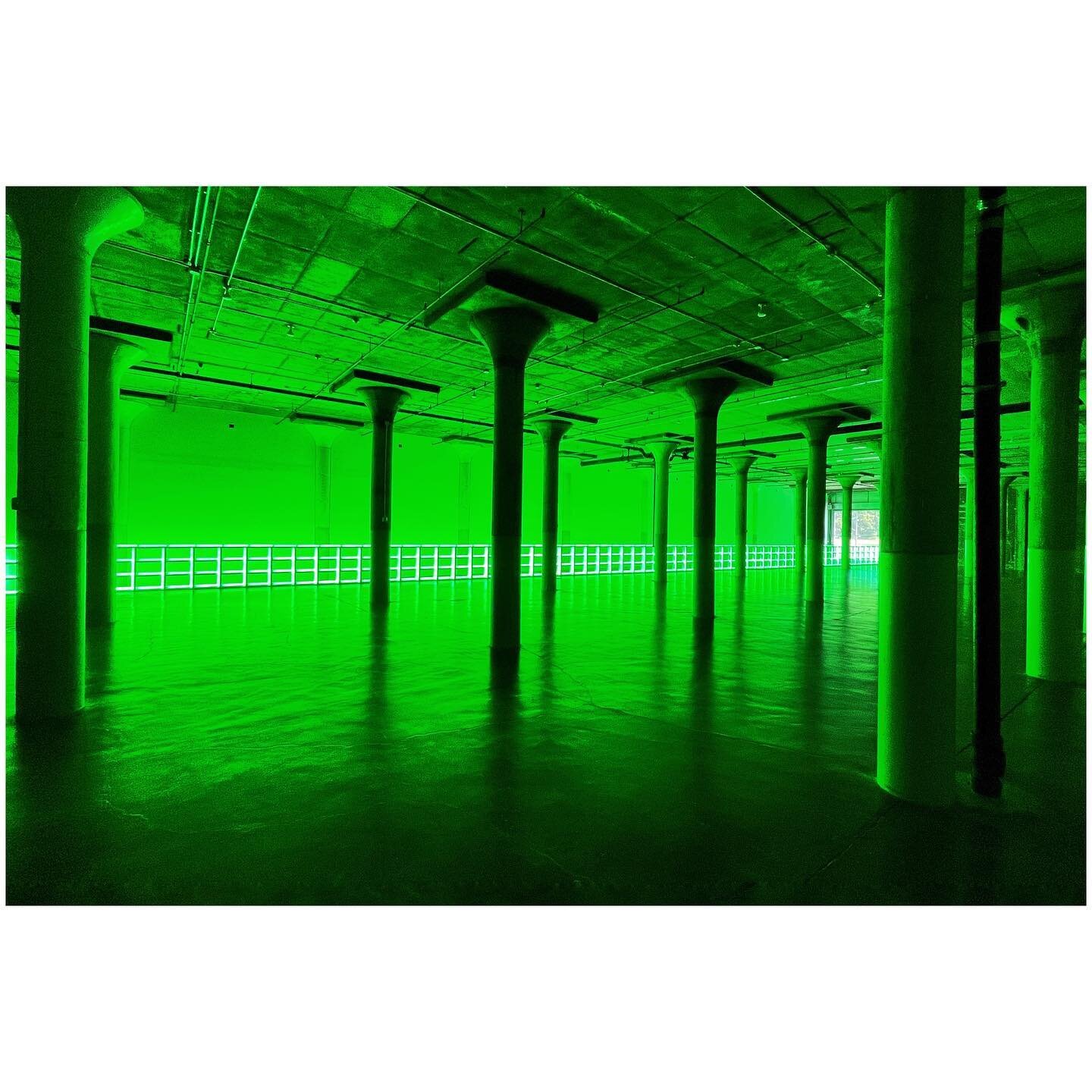 Gallery day @diaartfoundation #danflavin