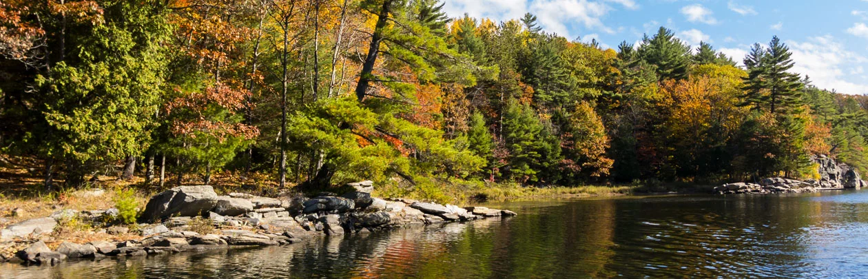 Contact Tom Cooper | Muskoka Residential Real Estate | Sotheby’s Mukoka