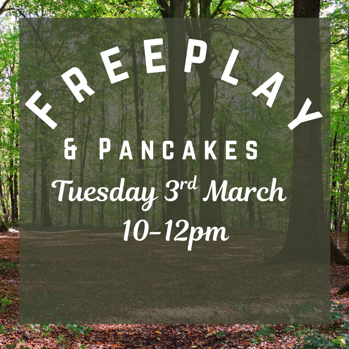 Freeplay & S’Mores.PNG