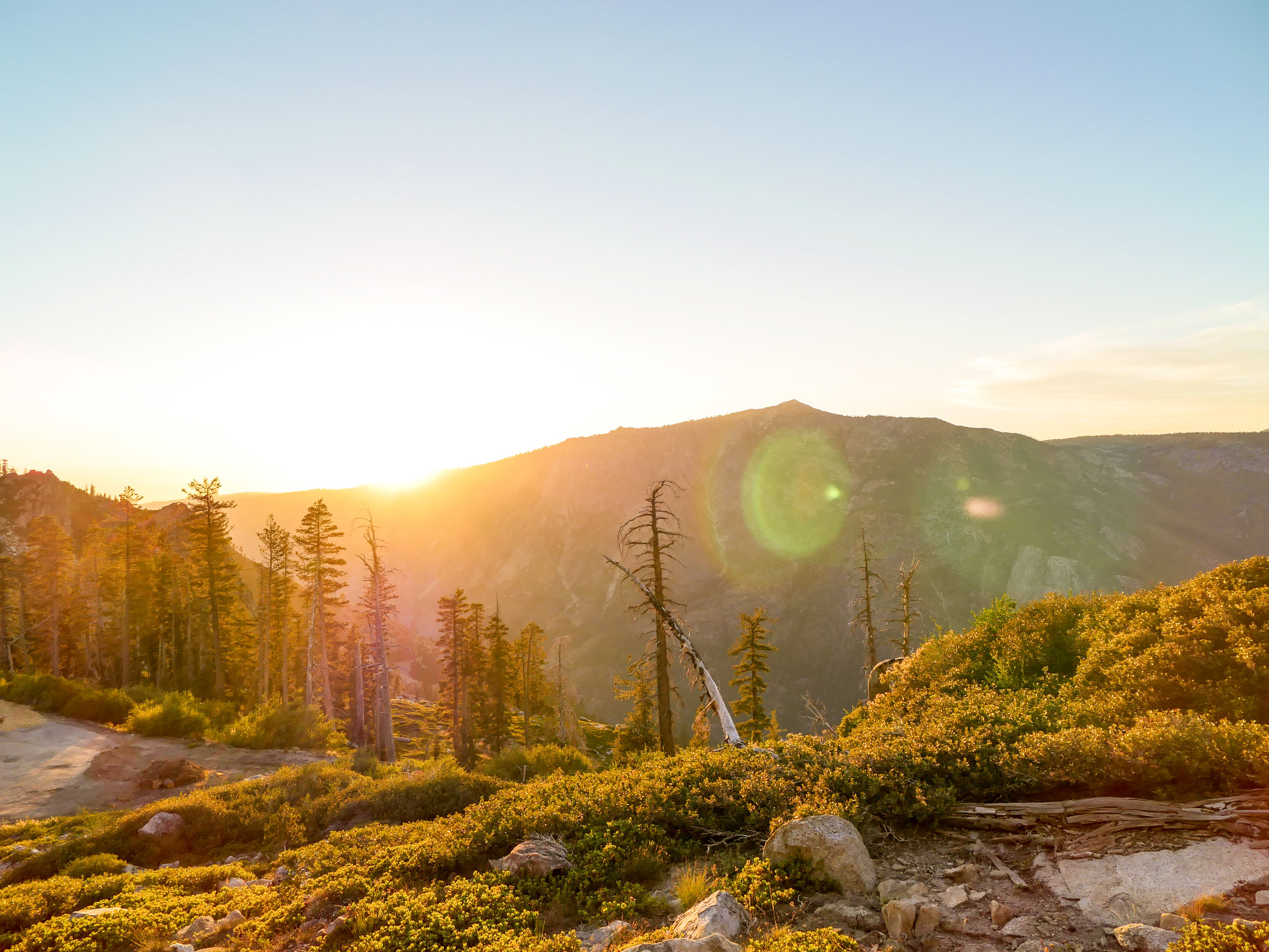 P1100291 (1)-1-2.jpg