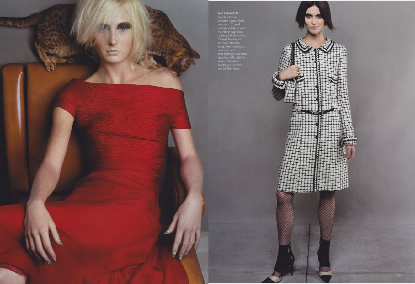 vogue 0009 3.png