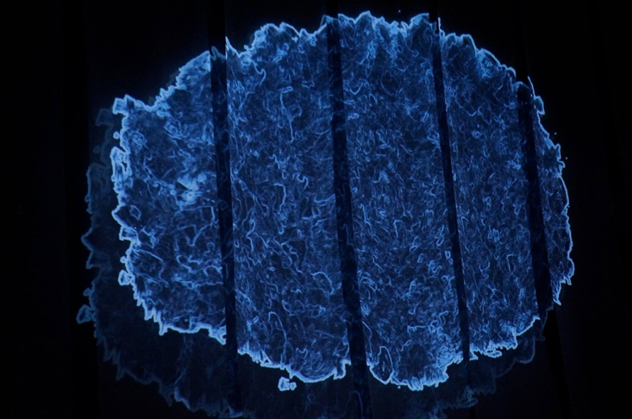 Agnes Chavez - Migrations (2016).jpg