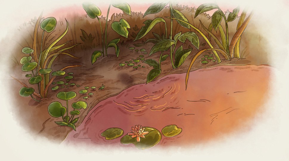 CASA_SnailAndNewtFrantasyExtPond_Co_v03.jpg