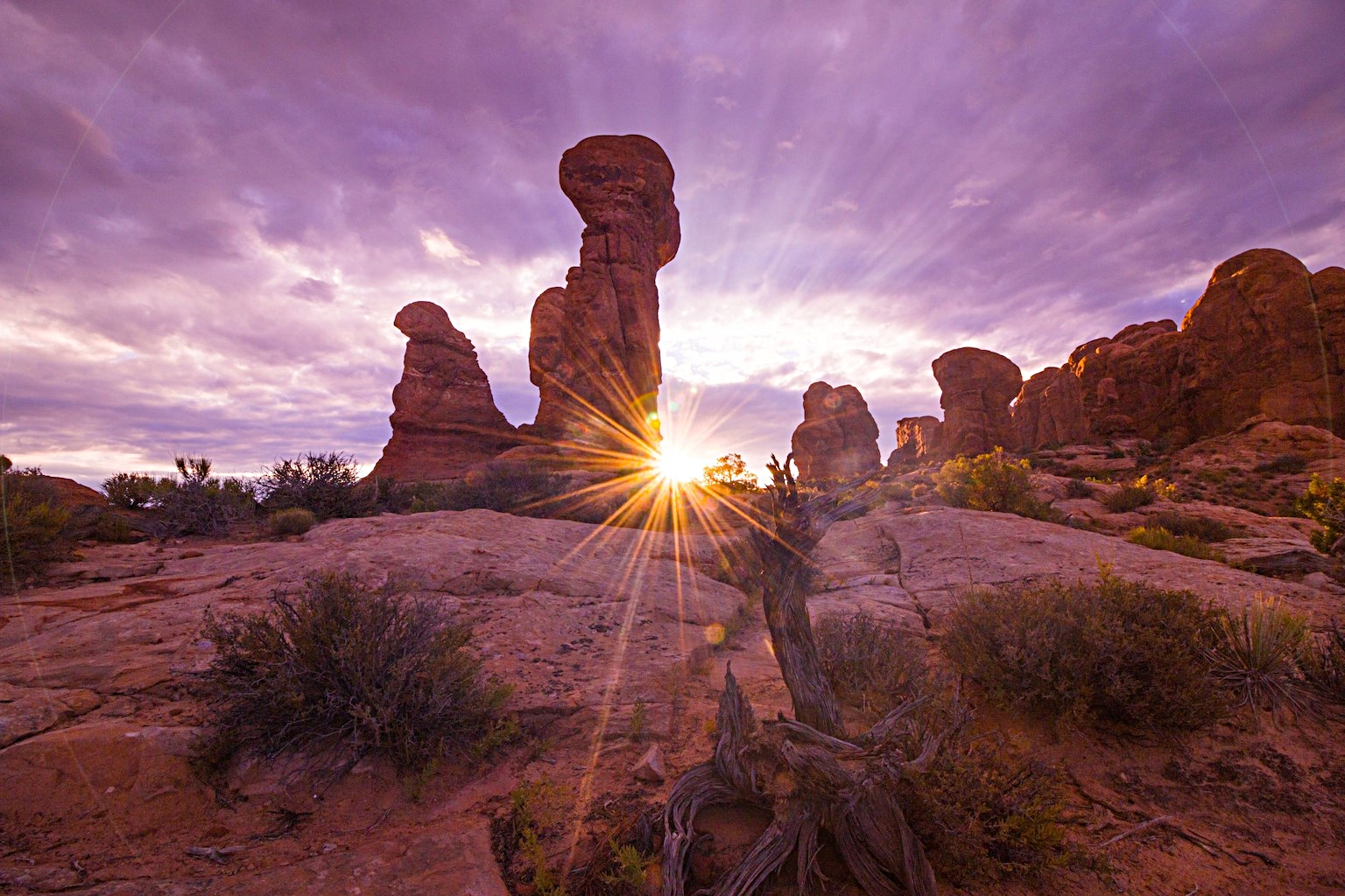 devils garden sunburst.jpg