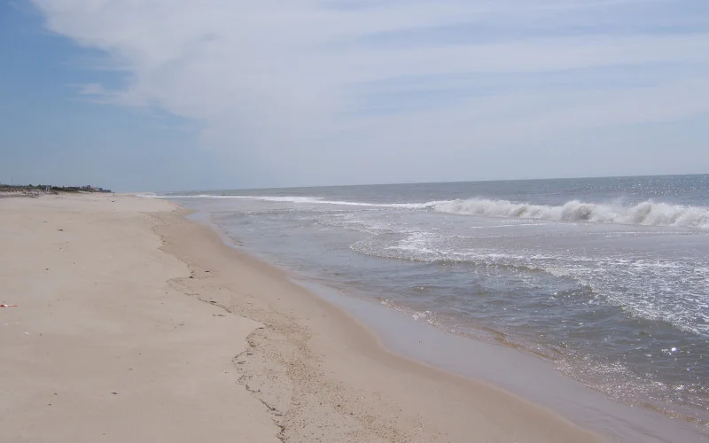 beach.jpg