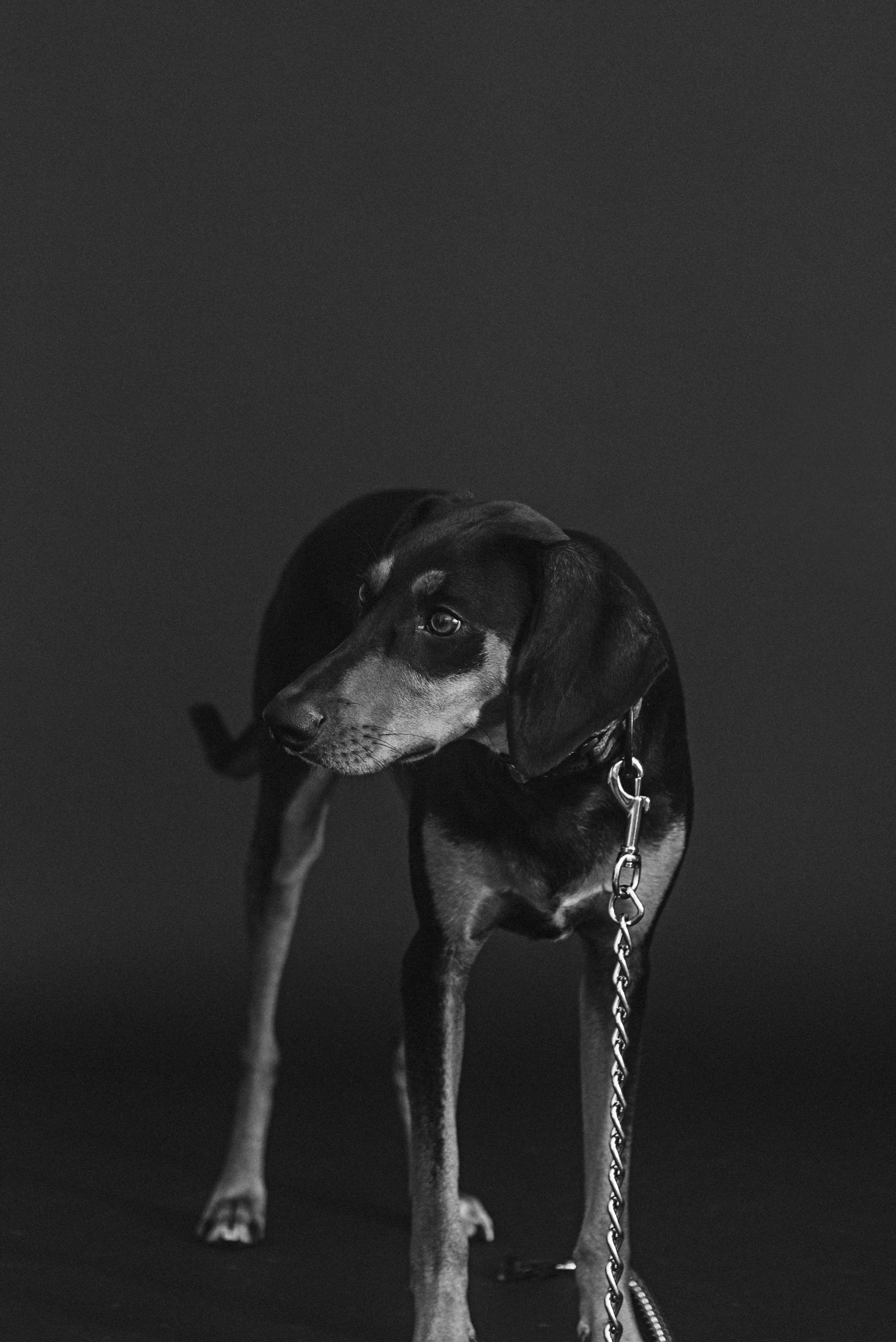 DSC_1453.jpg