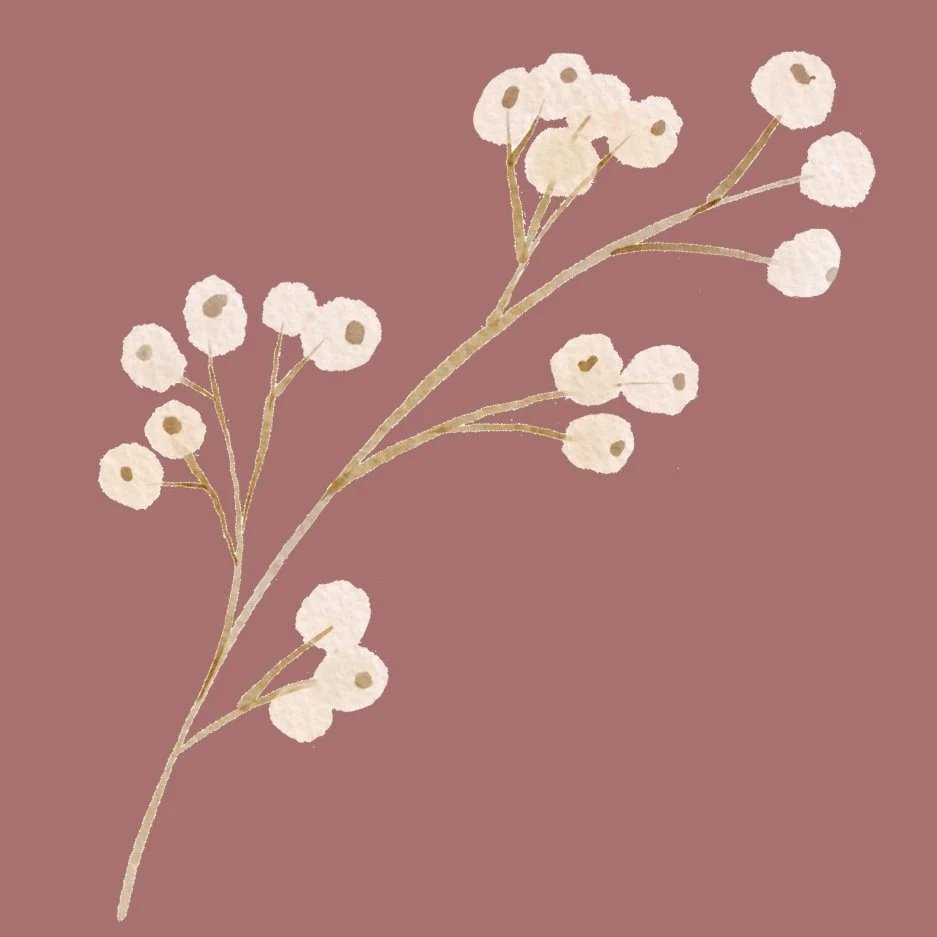 Online & In-Person | Vancouver, BC